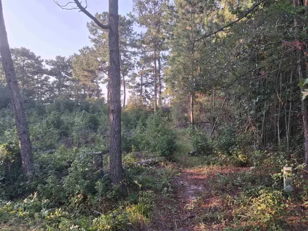 Lot 10-D Mcgregor Circle, Lake City, SC 29560