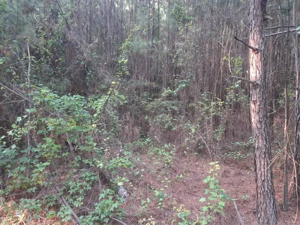 Lot 5-D Mcgregor Circle, Lake City, SC 29560