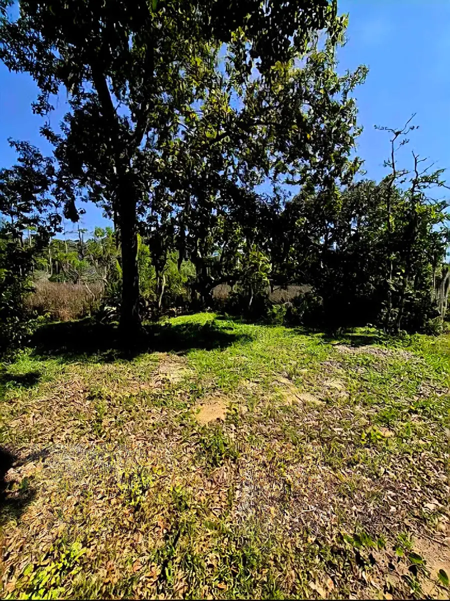 tbd Watson Way, Pawleys Island, SC 29585 - #3