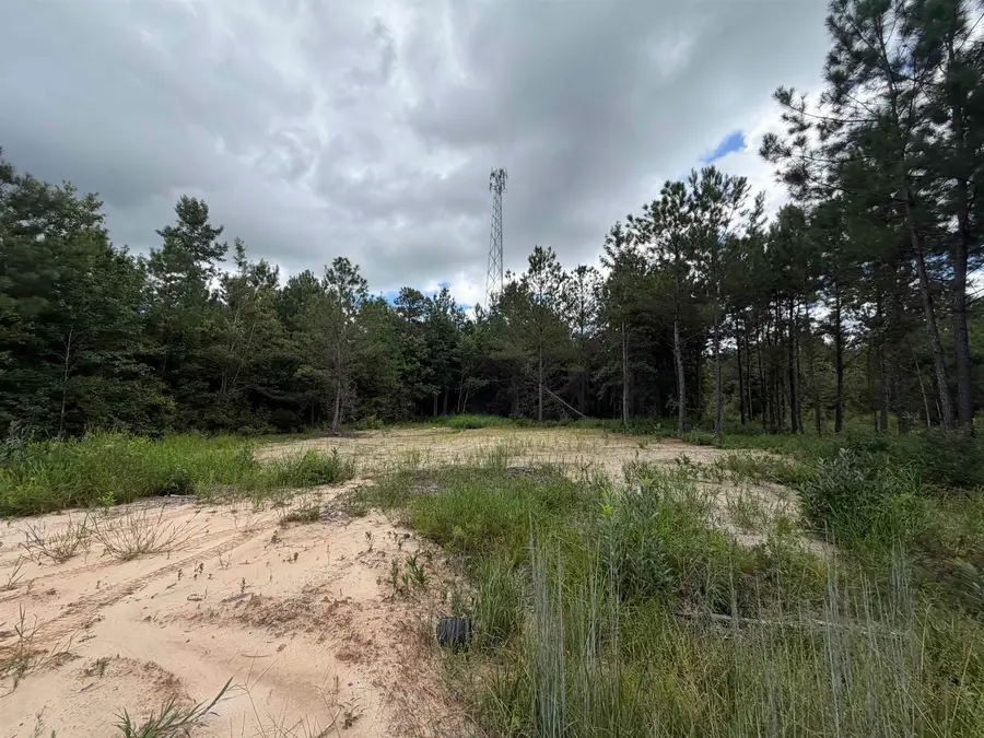 1.25 Acres - N Fraser St., Georgetown, SC 29440 - #2