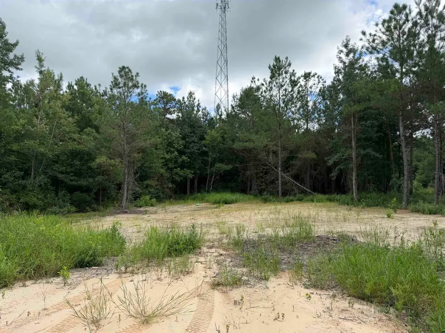 1.25 Acres - N Fraser St., Georgetown, SC 29440 - #3