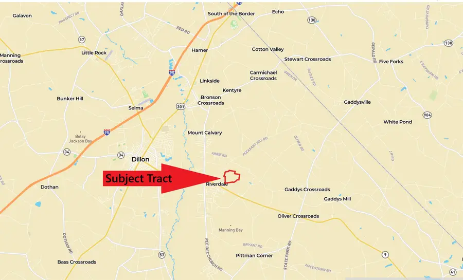 185 Legion St., Dillon, SC 29536 - #2