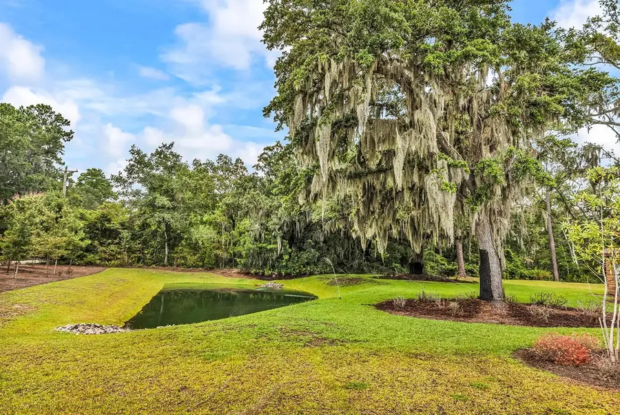 620 Golden Resin Rd #620, Conway, SC 29526 - #3