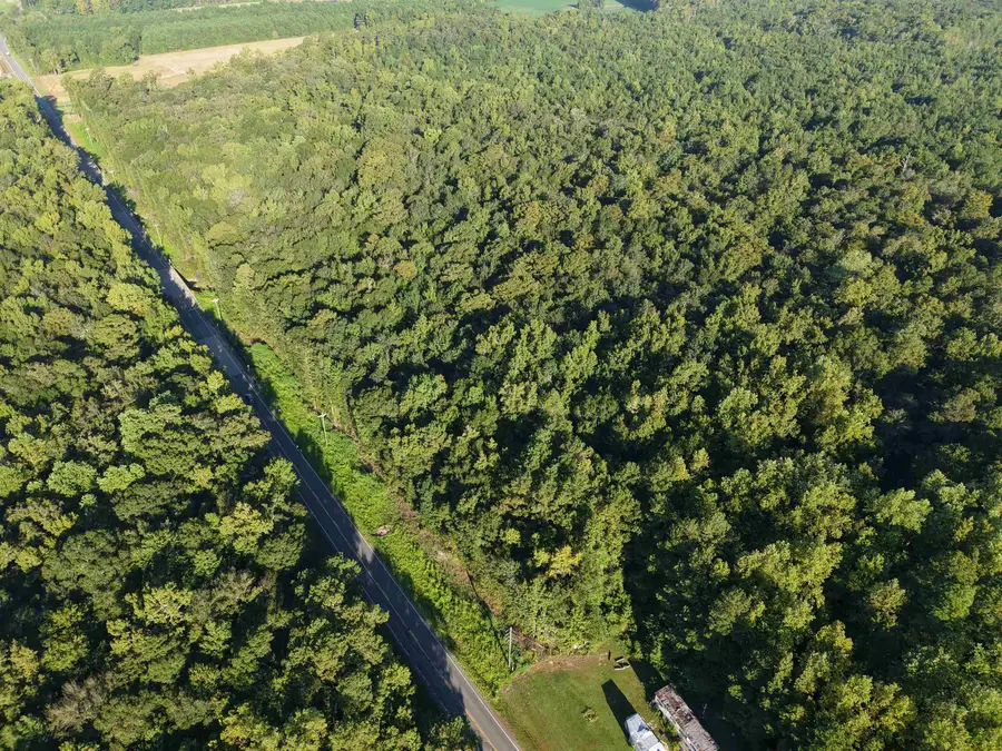 TBD Adrian Hwy., Loris, SC 29569 - #2