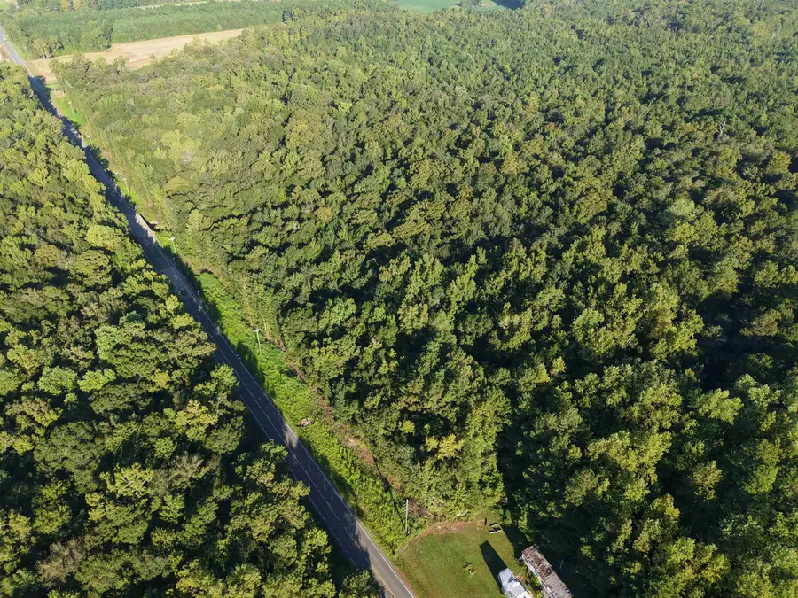 TBD Adrian Hwy., Loris, SC 29569 - #3