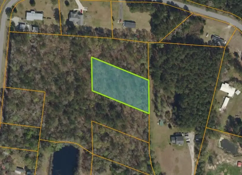 TBD Douston Rd., Loris, SC 29569 - #1