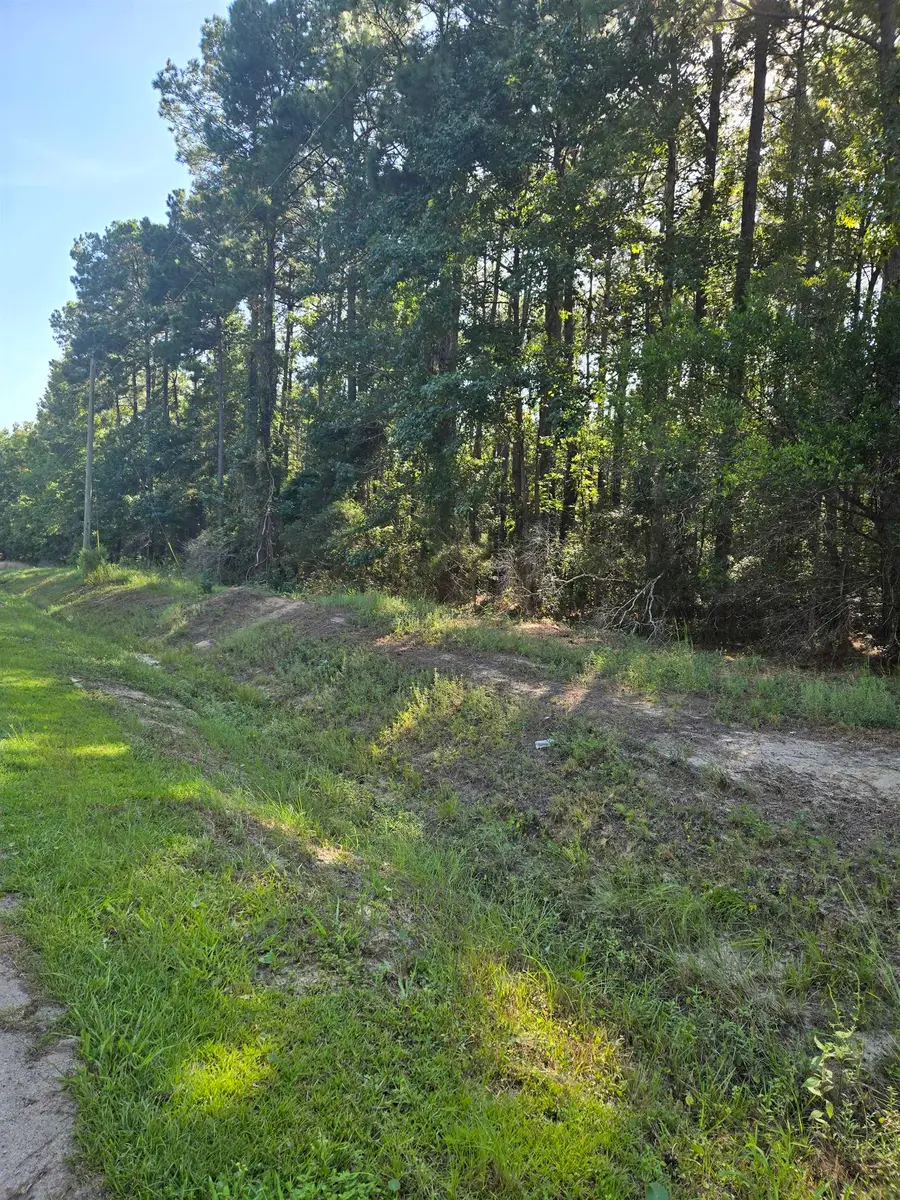Lot 2 Herbert Ln., Myrtle Beach, SC 29588 - #3
