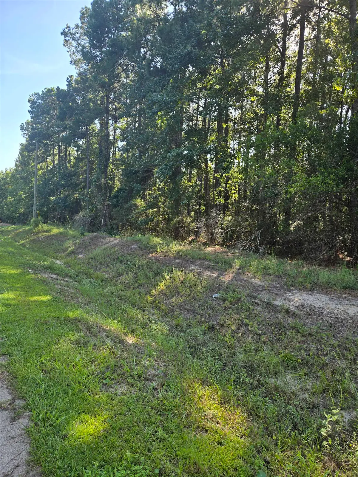 Lot 3 Freewoods Rd., Myrtle Beach, SC 29588 - #1