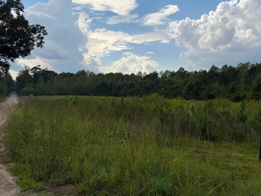 TBD Womack Rd., Nichols, SC 29581 - #3