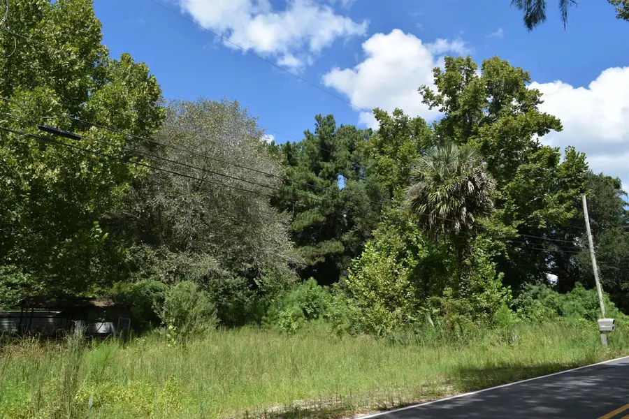 1806 New Rd., Conway, SC 29527 - #2
