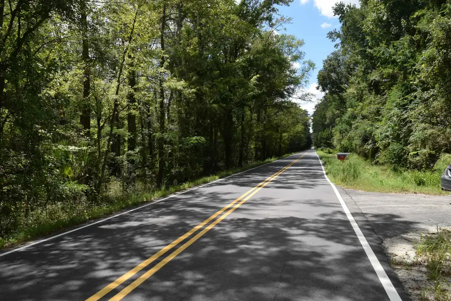 1806 New Rd., Conway, SC 29527 - #3