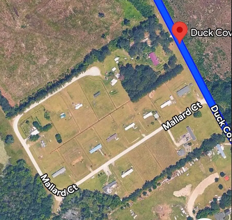 214 Duck Cove Rd., Conway, SC 29526 - #2