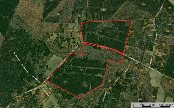 0 Old Forreston Rd., Greeleyville, SC 29056