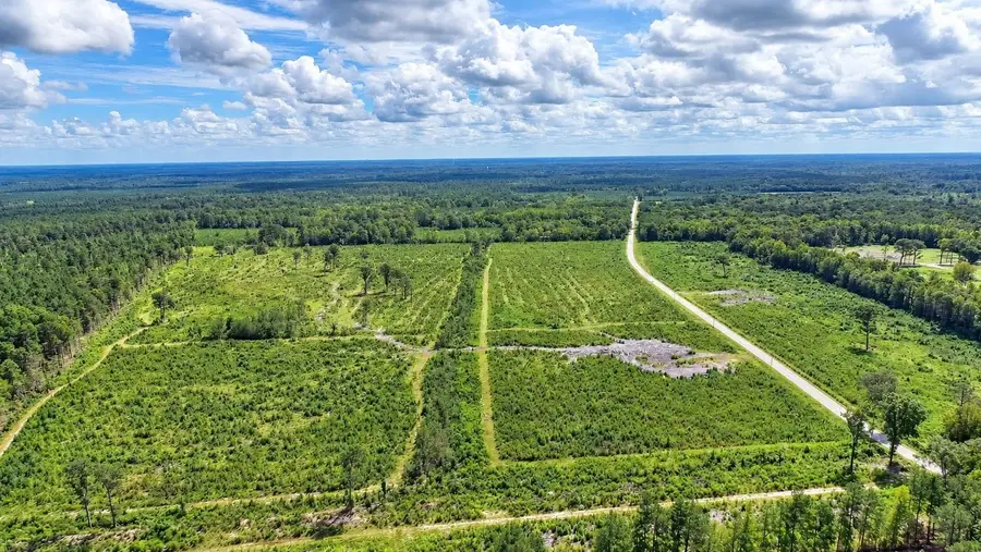 0 Old Forreston Rd., Greeleyville, SC 29056 - #2
