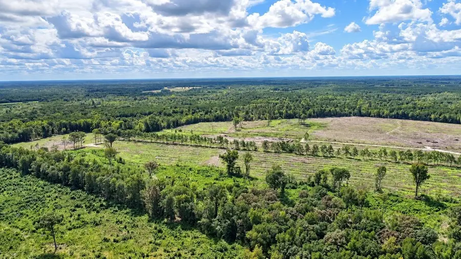 0 Old Forreston Rd., Greeleyville, SC 29056 - #3