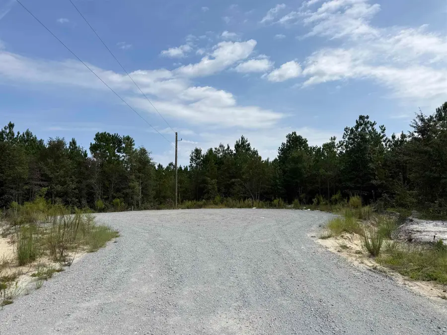 Lot 11 Ellwood Rd., Galivants Ferry, SC 29544 - #2