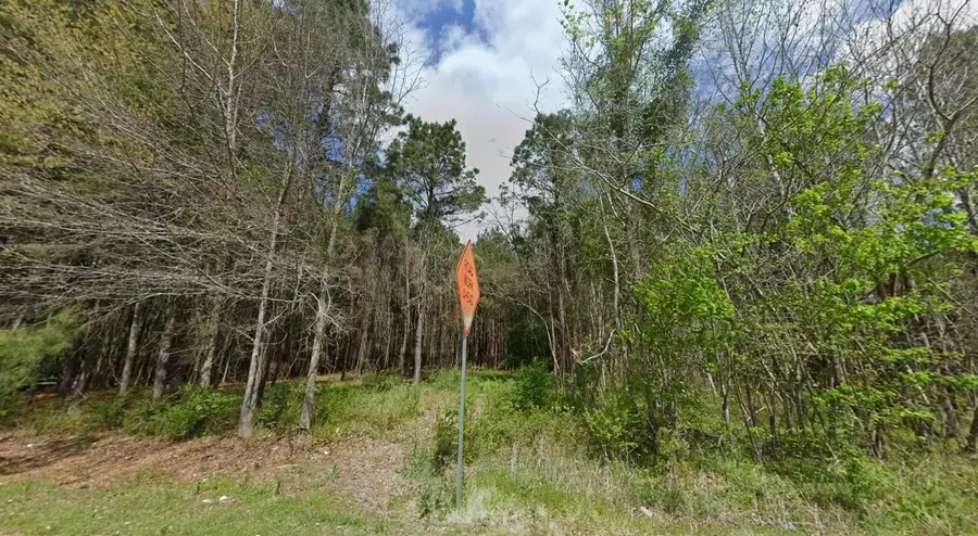TBD Highway 762, Loris, SC 29569 - #3