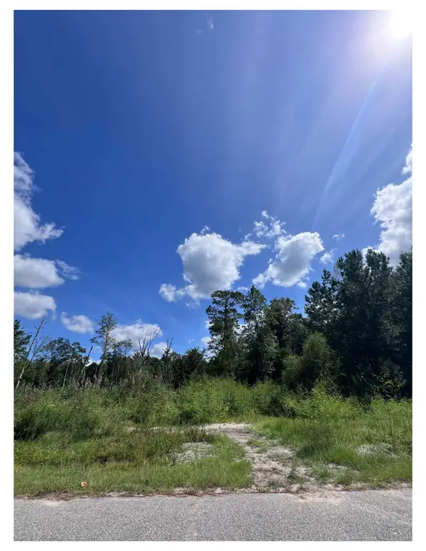 1223 Rainbow Dr., Loris, SC 29569