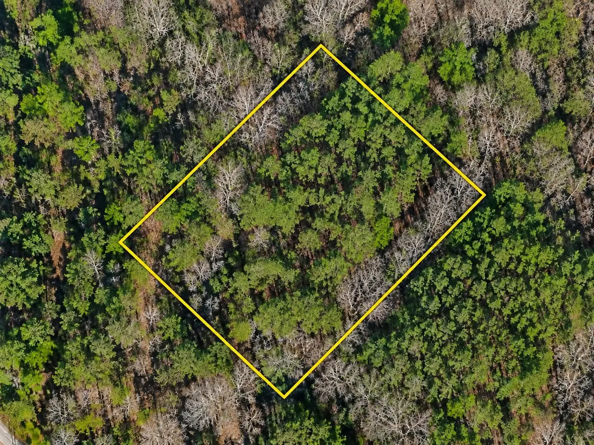 TBD Beulah Rd, Lake City, SC 29560 - #1