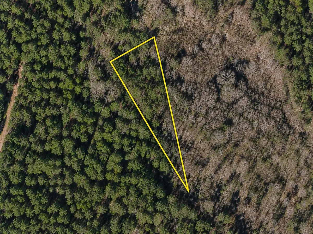 TBD Gibson Rd., Greeleyville, SC 29056 - #1