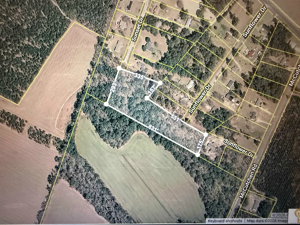 Sunflower Dr., Cades, SC 29518 - #1