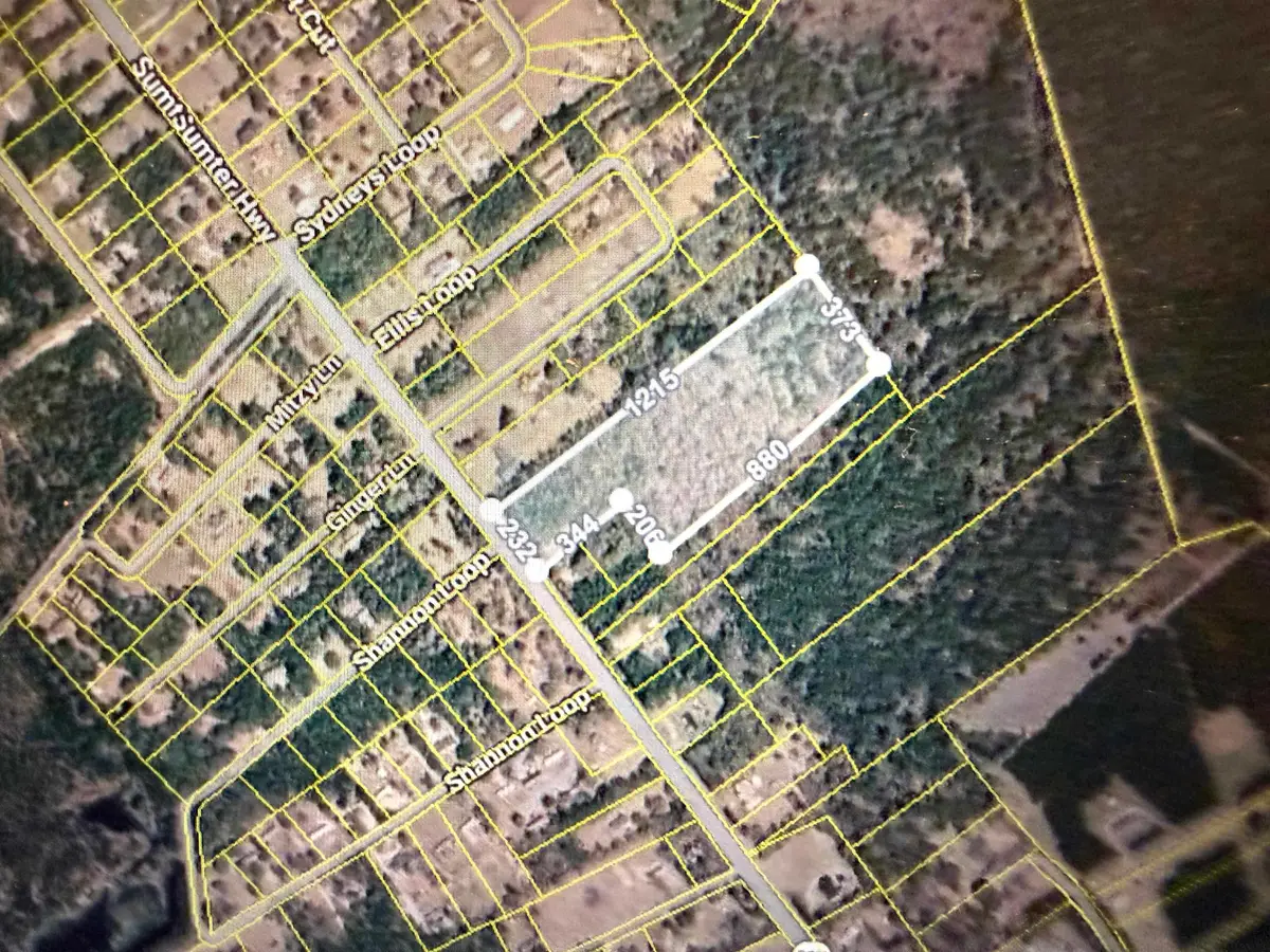 Sumter Hwy., Kingstree, SC 29556 - #1