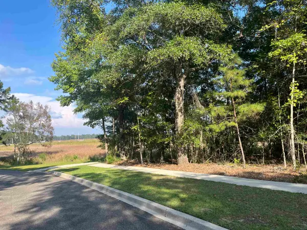 TBD Warham Dr., Georgetown, SC 29440