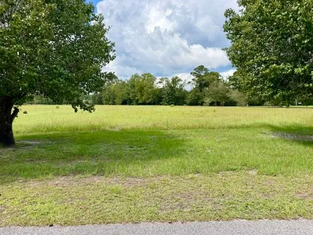 TBD Holly View Ln., Loris, SC 29569 - #1