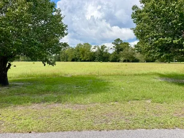 TBD Holly View Ln., Loris, SC 29569