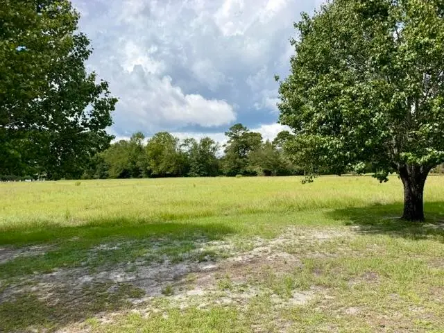 TBD Holly View Ln., Loris, SC 29569 - #2