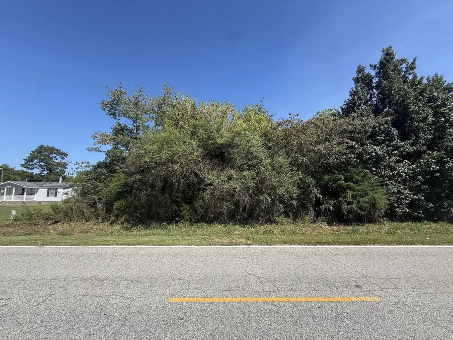 TBD Black Branch Rd., Dillon, SC 29536 - #2