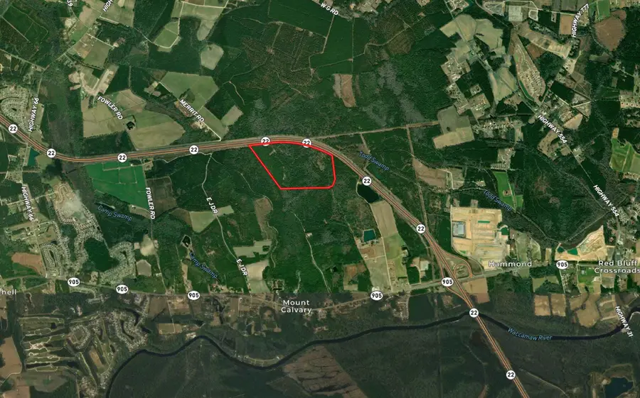 TBD Highway 905, Conway, SC 29526 - #3