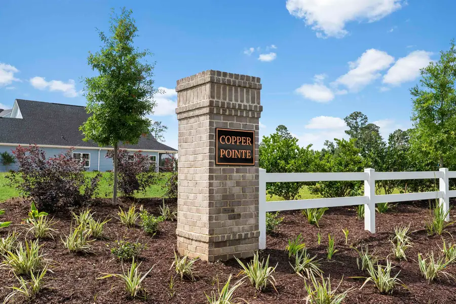 192 Copper Pointe Loop, Conway, SC 29526 - #2