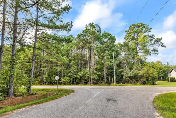 TBD Platt Town Place, Little River, SC 29566