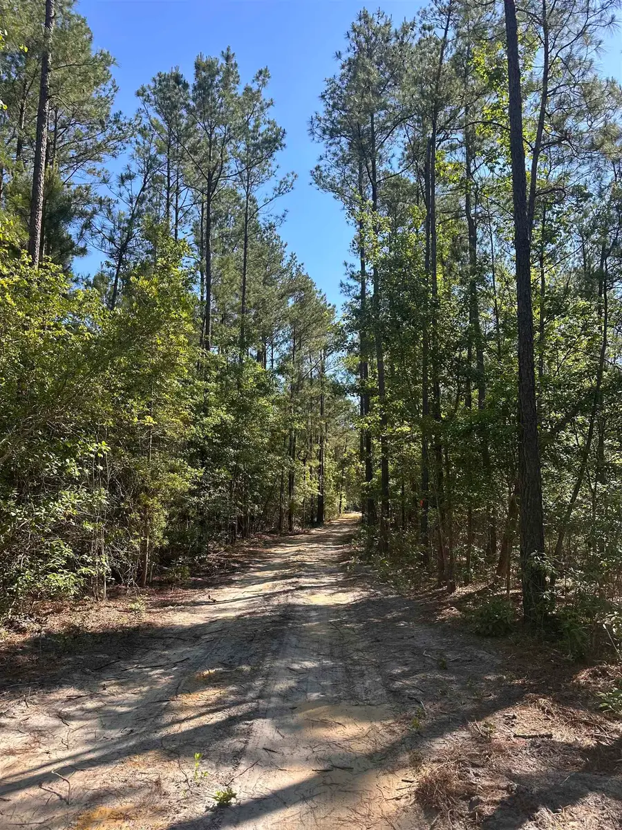 1682 Carriage Dr., Loris, SC 29569 - #3