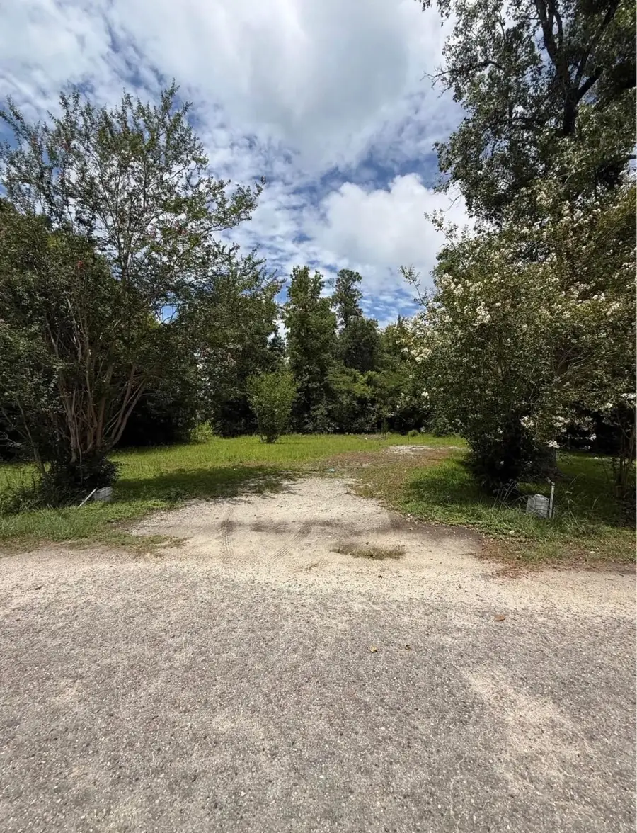40 Carver St., Hemingway, SC 29554 - #3