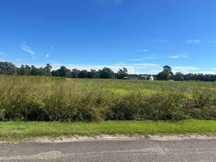 Highway 701 South, Loris, SC 29569 - #3