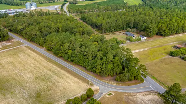 TBD Highway 917, Nichols, SC 29581