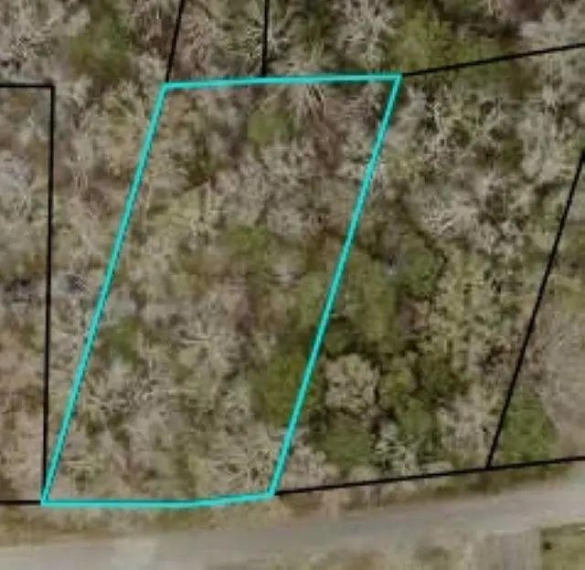 TBD Mckenzie Circle, Pawleys Island, SC 29585 - #2