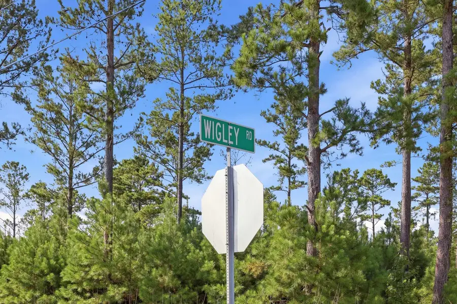 2545 Wigley Rd., Loris, SC 29569 - #3