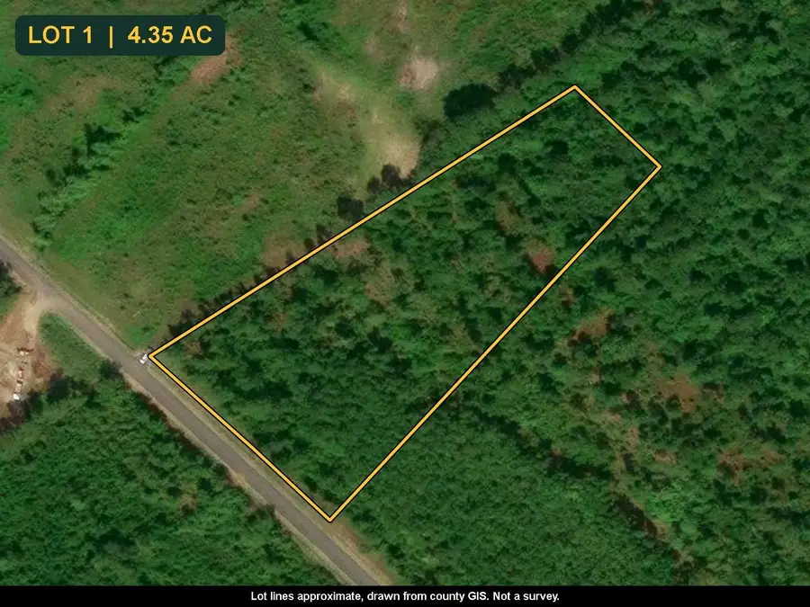 TBD Bellaire Dr., Nichols, SC 29581 - #2