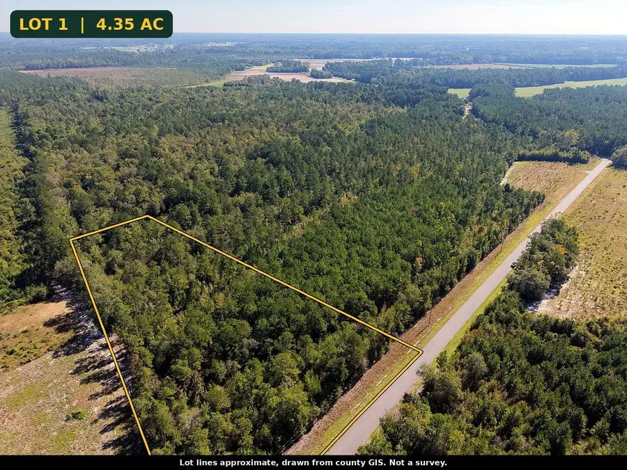 TBD Bellaire Dr., Nichols, SC 29581 - #3