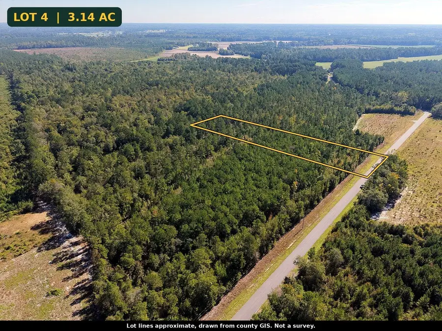 TBD Bellaire Dr., Nichols, SC 29581 - #3