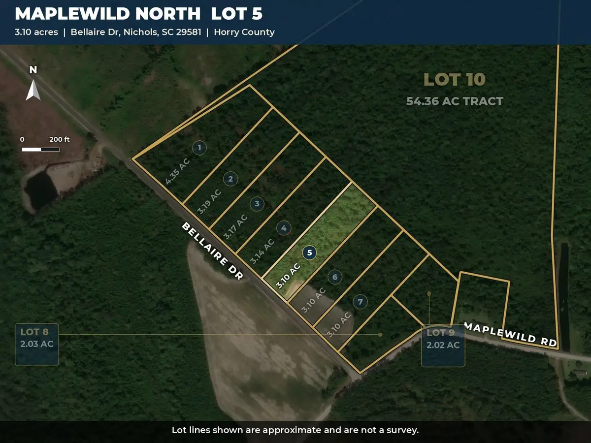 TBD Bellaire Dr., Nichols, SC 29581 - #1