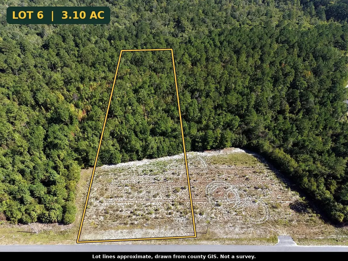 TBD Bellaire Dr., Nichols, SC 29581 - #1