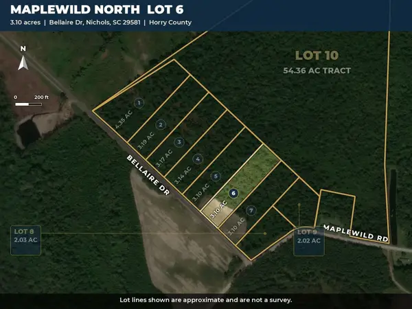 TBD Bellaire Dr., Nichols, SC 29581
