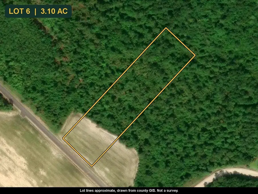 TBD Bellaire Dr., Nichols, SC 29581 - #2