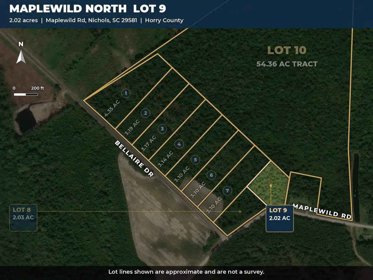 TBD Maplewild Rd., Nichols, SC 29581 - #1