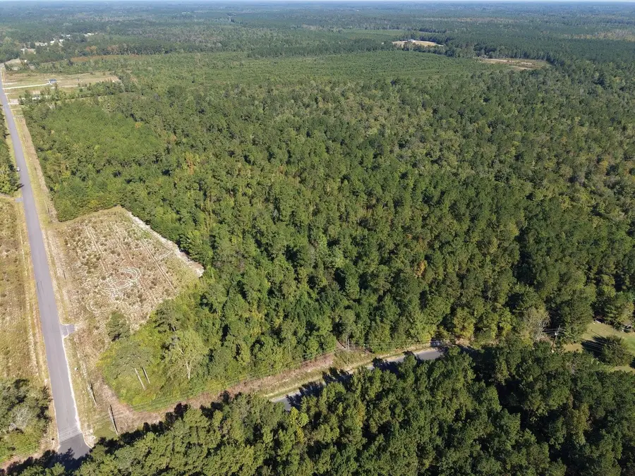 TBD Maplewild Rd., Nichols, SC 29581 - #3