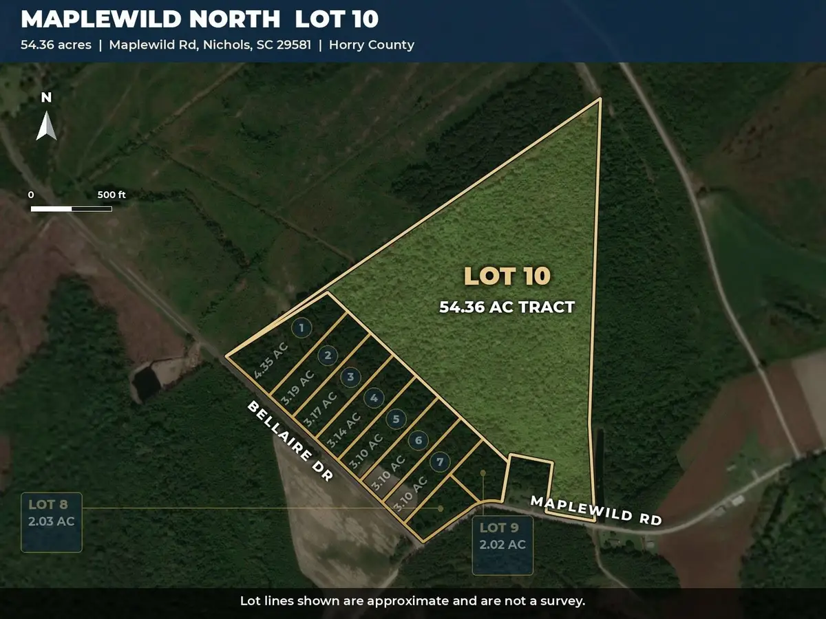 TBD Maplewild Rd., Nichols, SC 29581 - #1